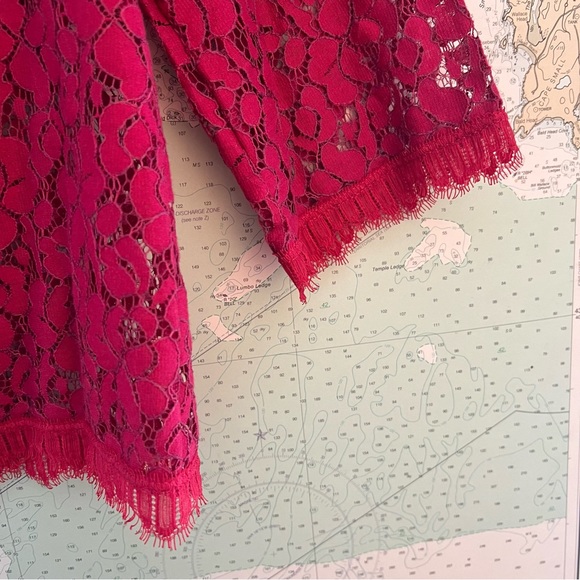 NWT! Anthropologie Weston Wear Pink Sheer Lace 3/4 Sleeve Blouse Size M - Picture 12 of 13